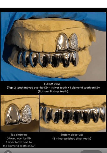 Bottom 8 plain & top 2 iced canine